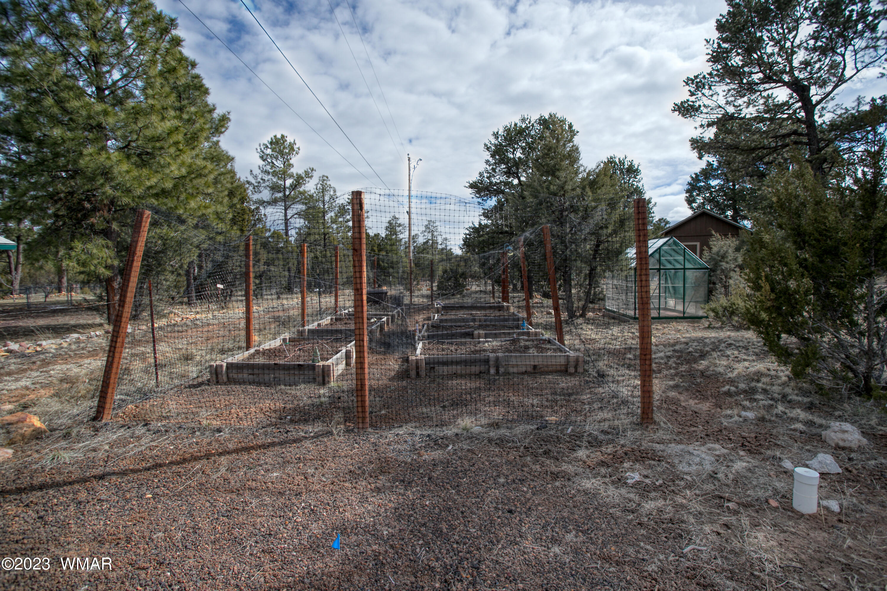 1979 Rim View Lane Heber, AZ 85928 - Photo 23 of 27 a view of outdoor space with trees