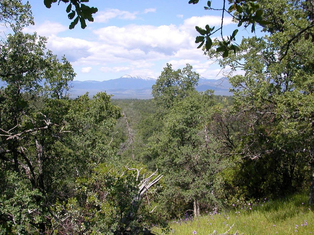 13116 Gas Point Road Igo, CA 96047 - Photo 2 of 8 Views