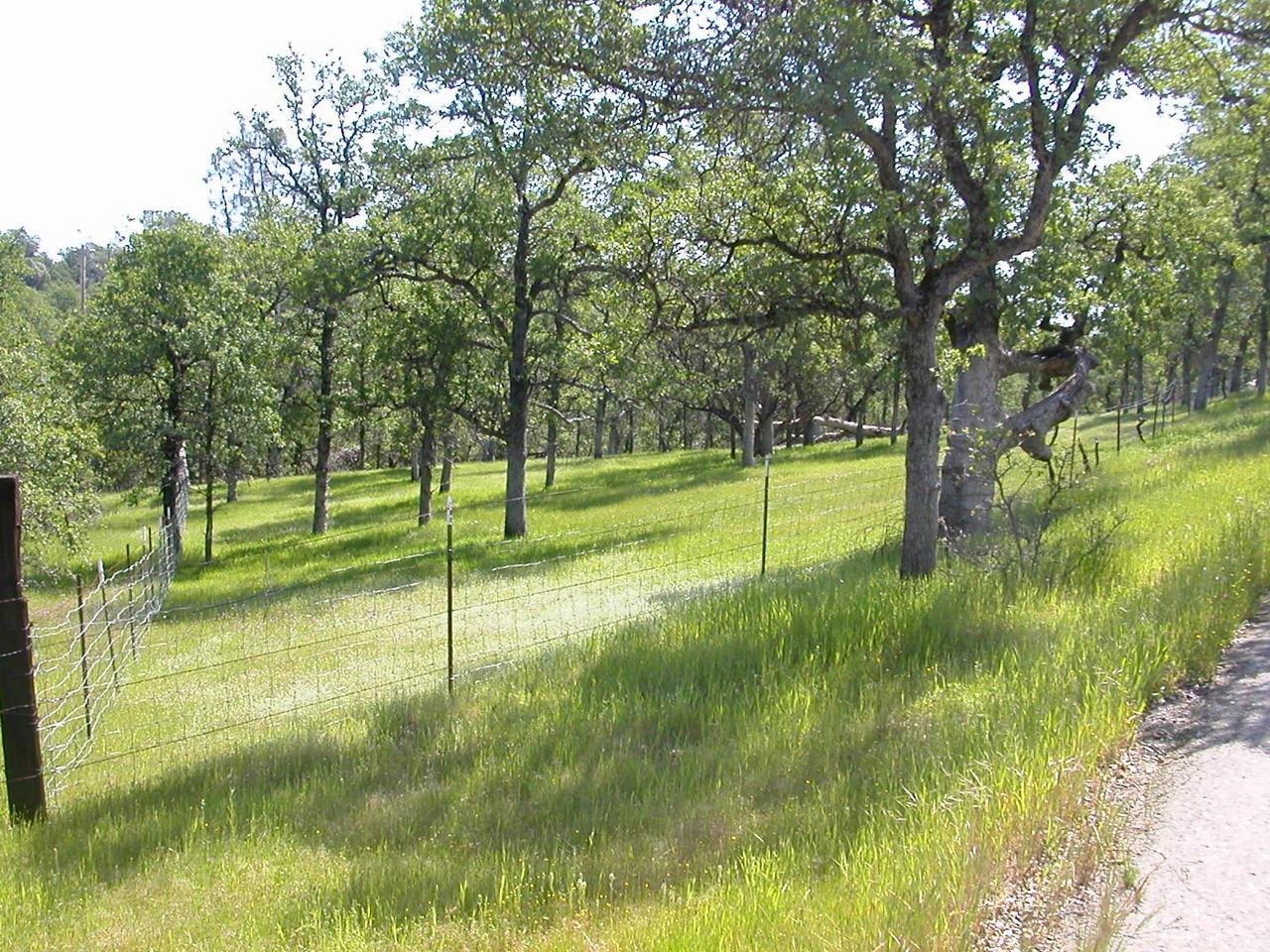 13116 Gas Point Road Igo, CA 96047 - Photo 3 of 8 Northwest corner