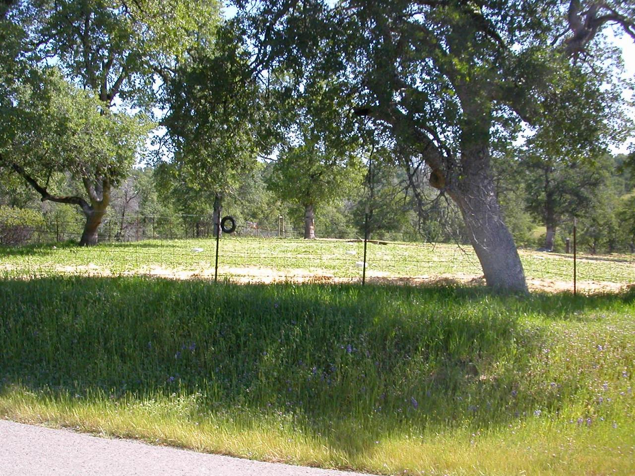 13116 Gas Point Road Igo, CA 96047 - Photo 7 of 8 Fenced for Horses