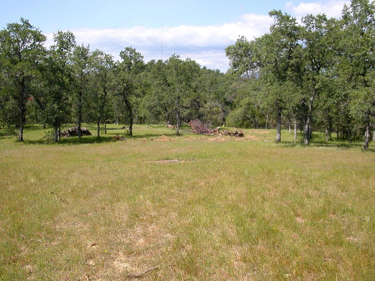 13116 Gas Point Road Igo, CA 96047 - Photo 8 of 8 Land