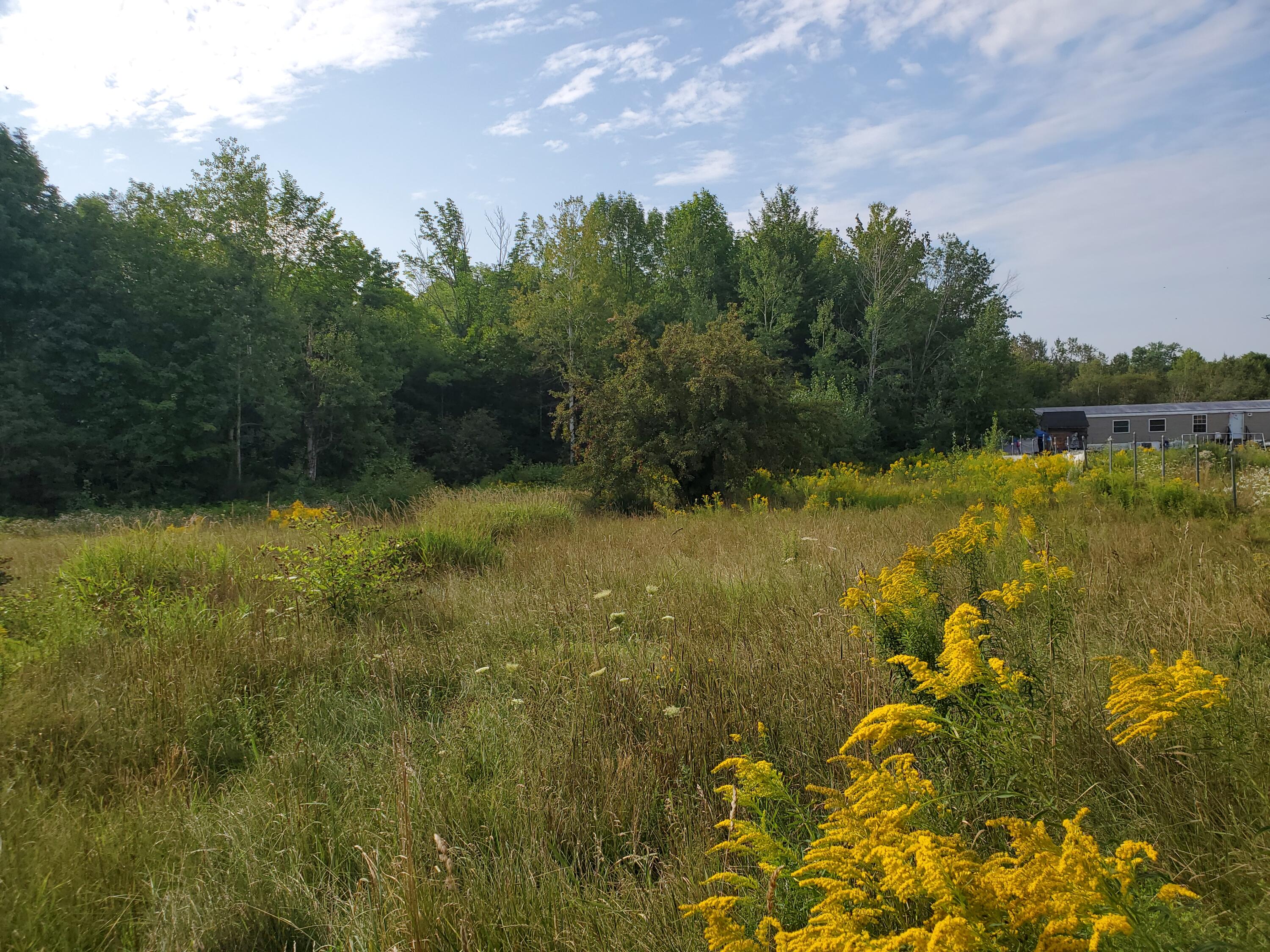389 Corinna Road St. Albans, ME 04971 - Photo 28 of 29 20210814_083138