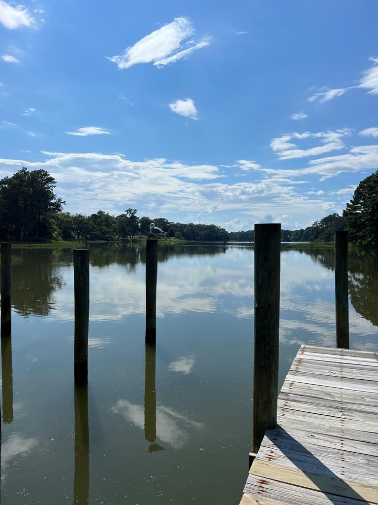 Lot 10 Plum Tree Road, Unit 10 Cape Charles, VA 23310 - Photo 5 of 8