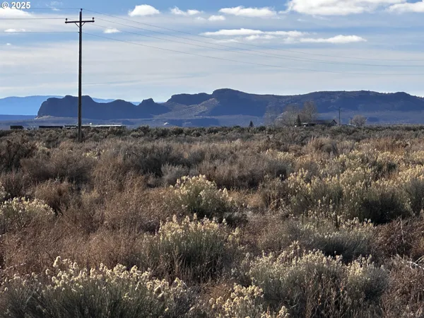 a view of a city with lush green forest