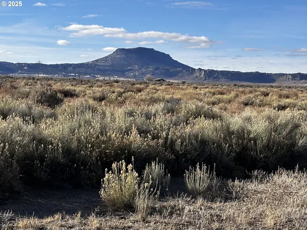 a view of a lot of trees and mountains