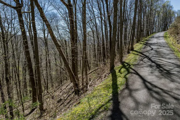 $39,000 | 99999 Chestnut Forest Road, Unit 412 & #413, Fairview, NC 28730