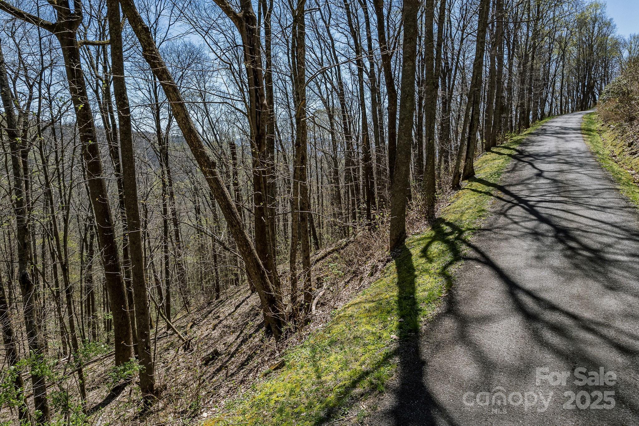 99999 Chestnut Forest Road, Unit 412 & #413 Fairview, NC 28730 - Photo 11 of 36