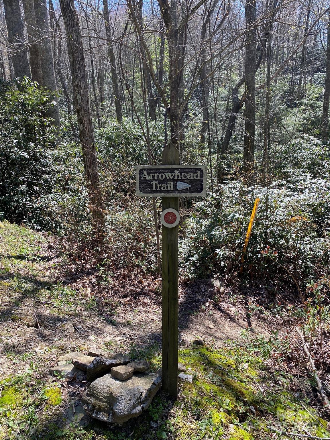 99999 Chestnut Forest Road, Unit 412 & #413 Fairview, NC 28730 - Photo 13 of 36