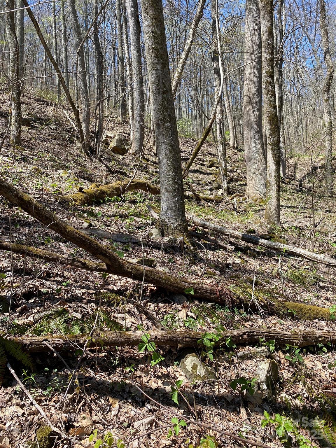 99999 Chestnut Forest Road, Unit 412 & #413 Fairview, NC 28730 - Photo 15 of 36