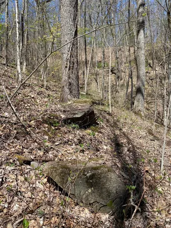 $39,000 | 99999 Chestnut Forest Road, Unit 412 & #413, Fairview, NC 28730