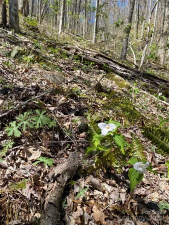 $39,000 | 99999 Chestnut Forest Road, Unit 412 & #413, Fairview, NC 28730