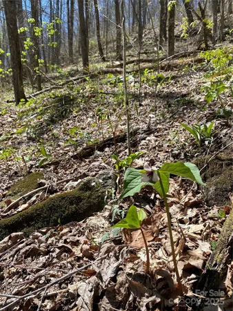 $39,000 | 99999 Chestnut Forest Road, Unit 412 & #413, Fairview, NC 28730