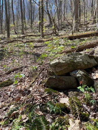 $39,000 | 99999 Chestnut Forest Road, Unit 412 & #413, Fairview, NC 28730