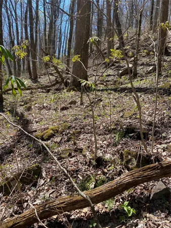 $39,000 | 99999 Chestnut Forest Road, Unit 412 & #413, Fairview, NC 28730