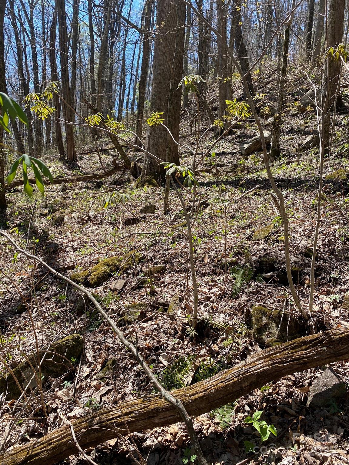 99999 Chestnut Forest Road, Unit 412 & #413 Fairview, NC 28730 - Photo 20 of 36