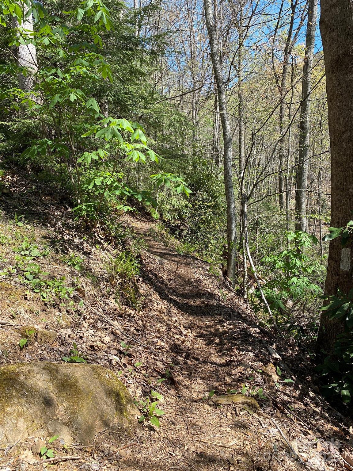 99999 Chestnut Forest Road, Unit 412 & #413 Fairview, NC 28730 - Photo 21 of 36