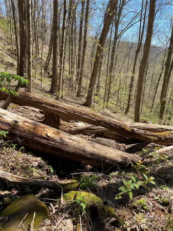 $39,000 | 99999 Chestnut Forest Road, Unit 412 & #413, Fairview, NC 28730