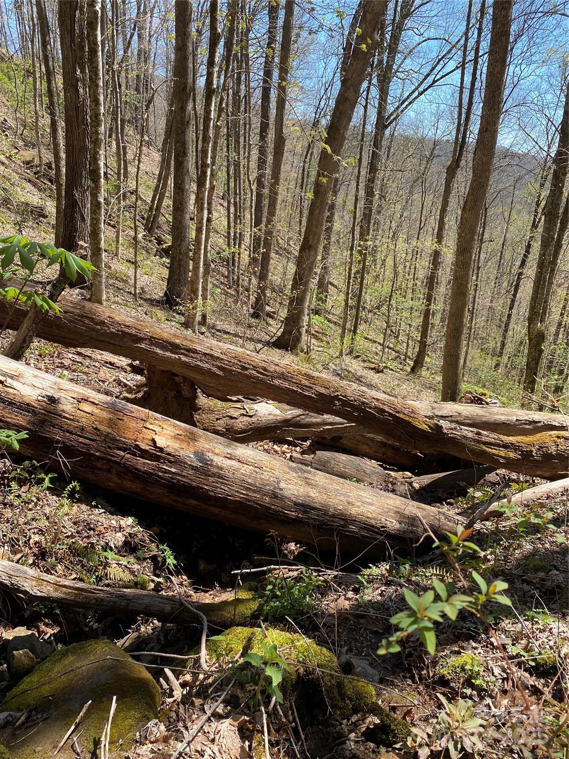 99999 Chestnut Forest Road, Unit 412 & #413 Fairview, NC 28730 - Photo 22 of 36