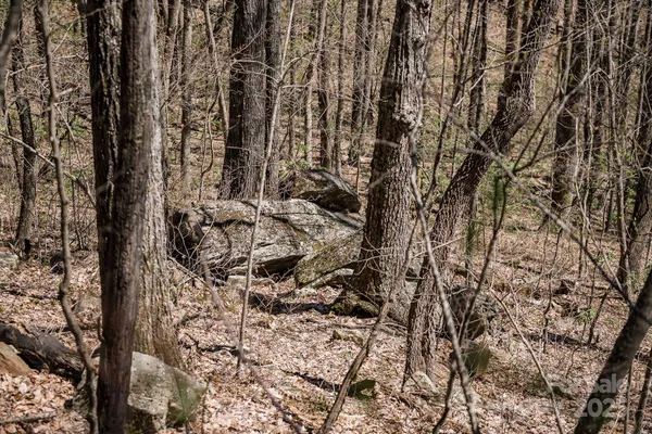 $39,000 | 99999 Chestnut Forest Road, Unit 412 & #413, Fairview, NC 28730