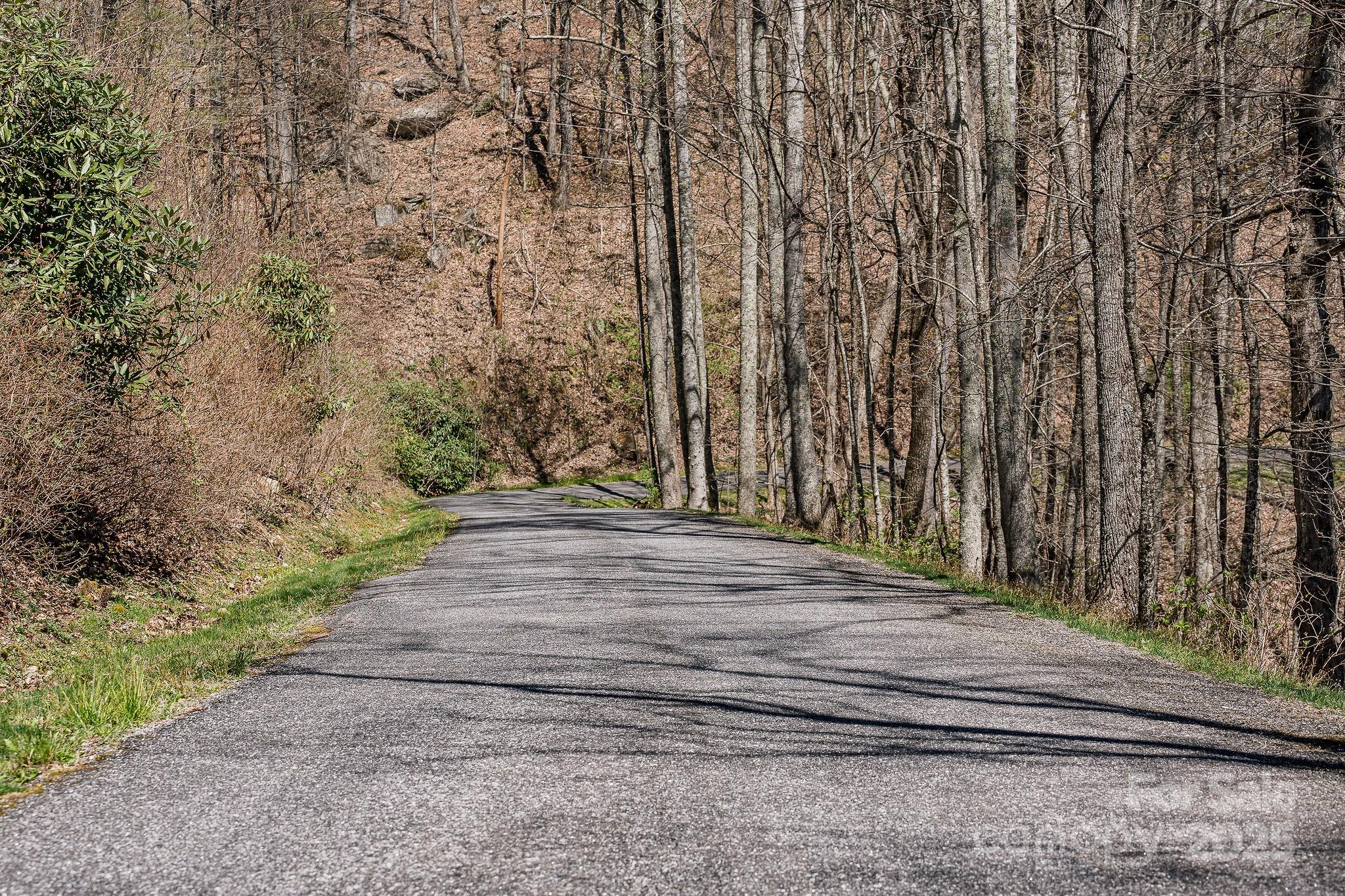 99999 Chestnut Forest Road, Unit 412 & #413 Fairview, NC 28730 - Photo 25 of 36