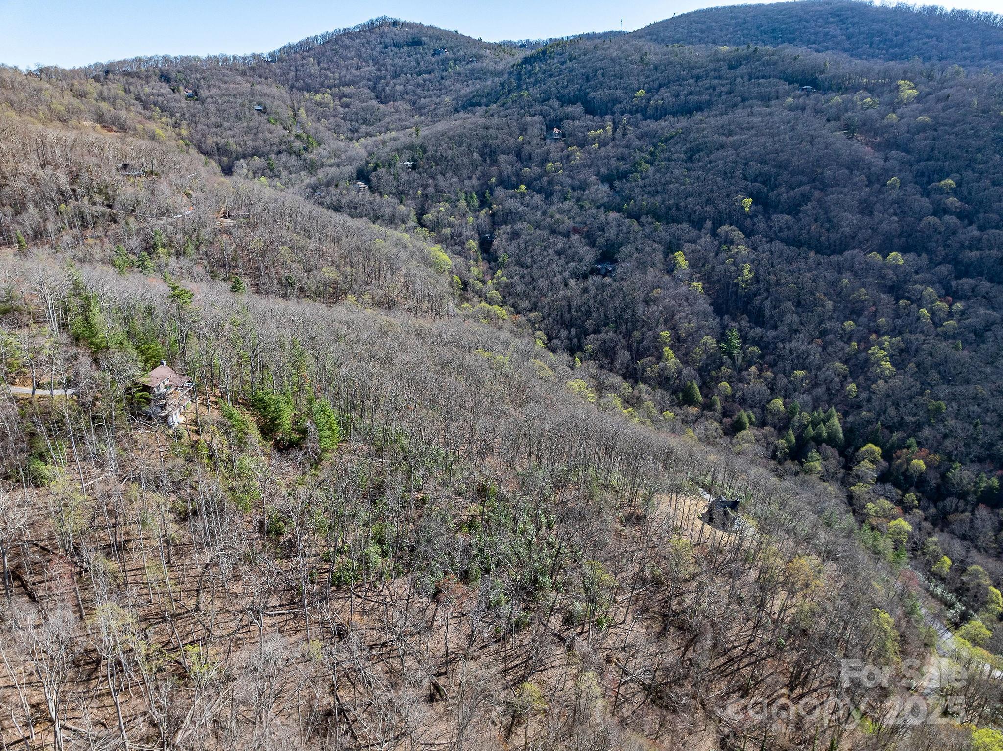 99999 Chestnut Forest Road, Unit 412 & #413 Fairview, NC 28730 - Photo 30 of 36
