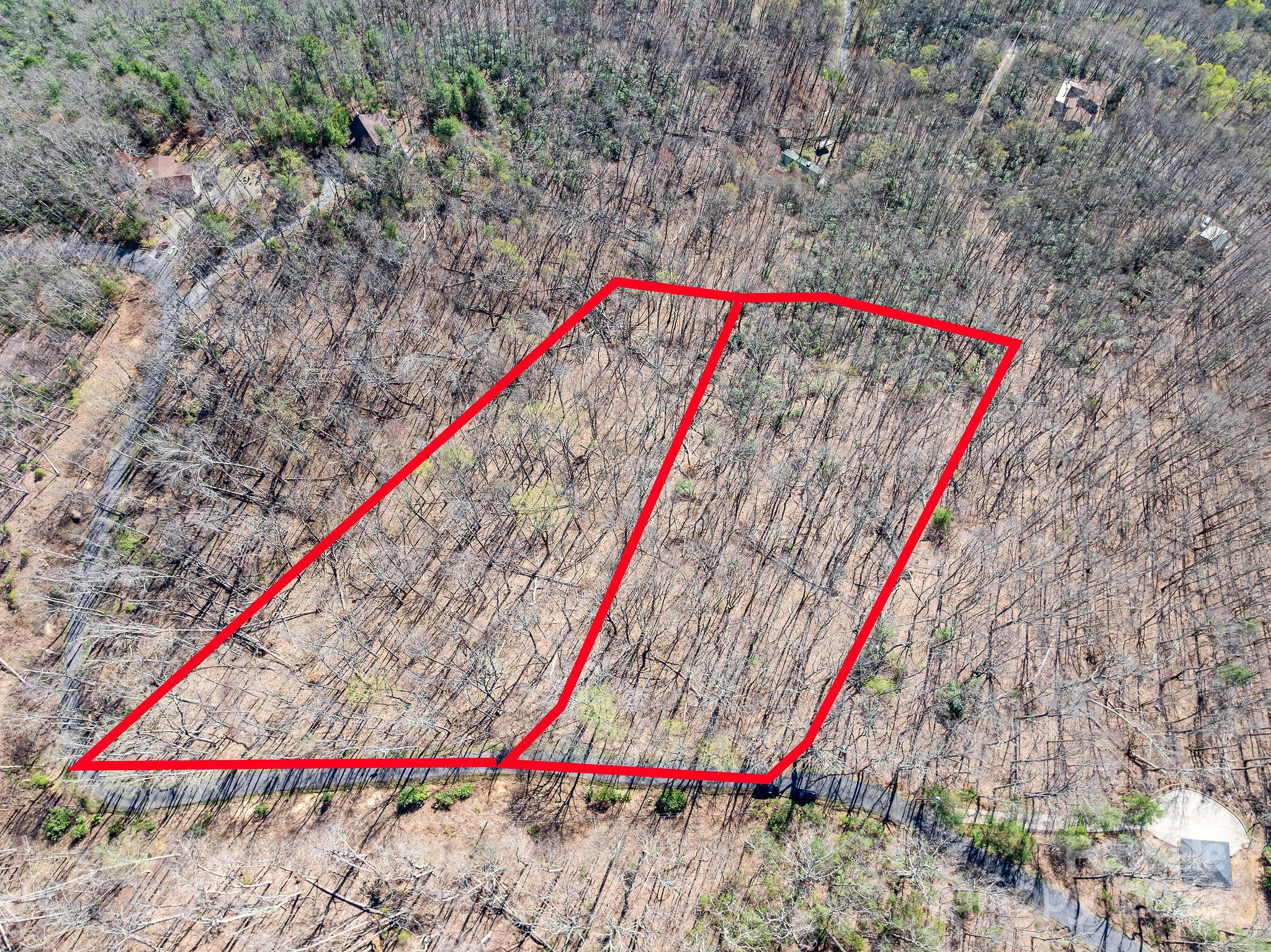 99999 Chestnut Forest Road, Unit 412 & #413 Fairview, NC 28730 - Photo 3 of 36