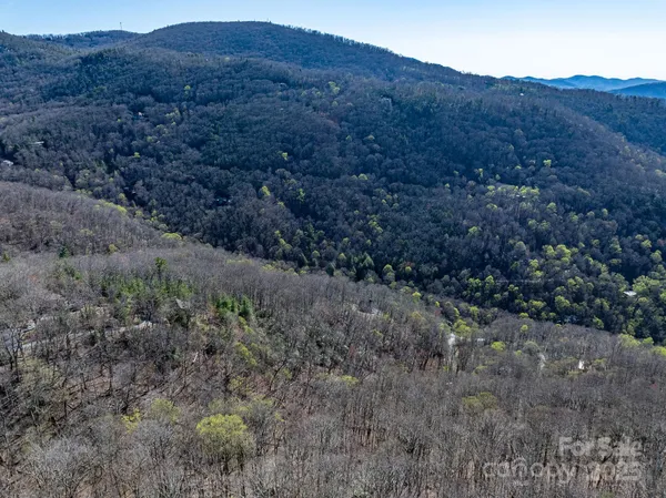 $39,000 | 99999 Chestnut Forest Road, Unit 412 & #413, Fairview, NC 28730