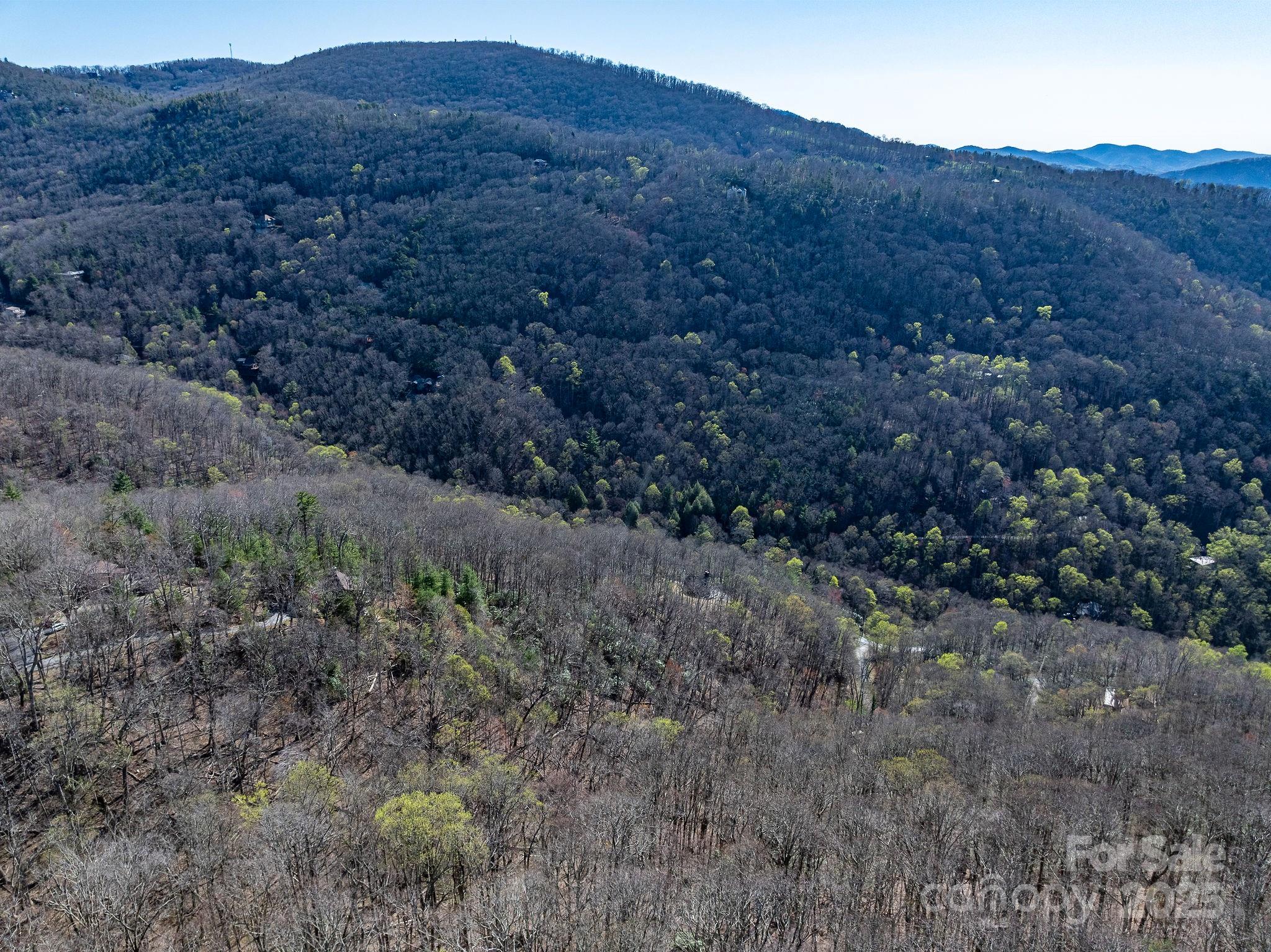 99999 Chestnut Forest Road, Unit 412 & #413 Fairview, NC 28730 - Photo 34 of 36