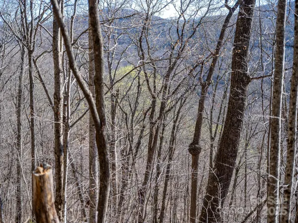 $39,000 | 99999 Chestnut Forest Road, Unit 412 & #413, Fairview, NC 28730