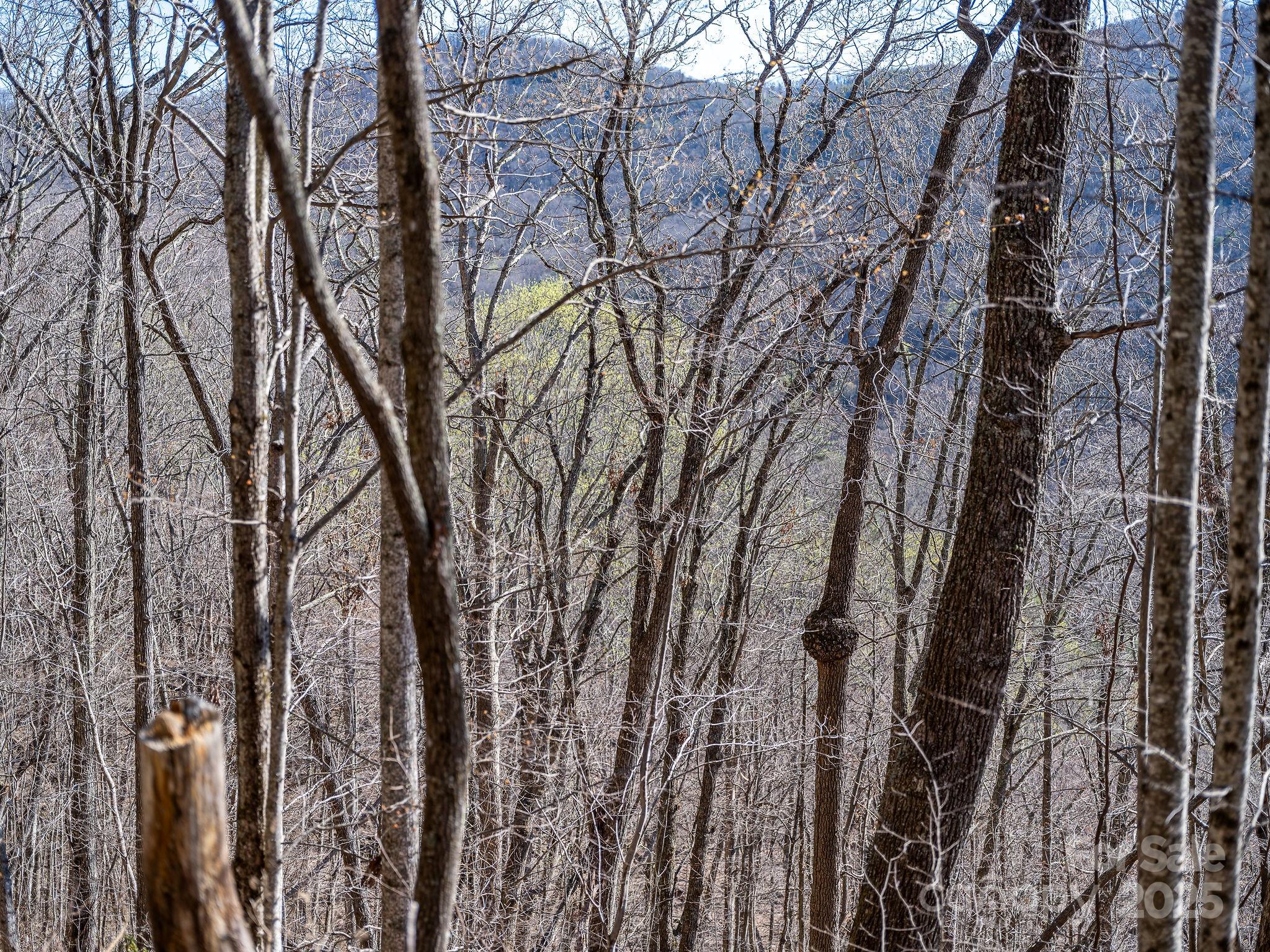 99999 Chestnut Forest Road, Unit 412 & #413 Fairview, NC 28730 - Photo 36 of 36