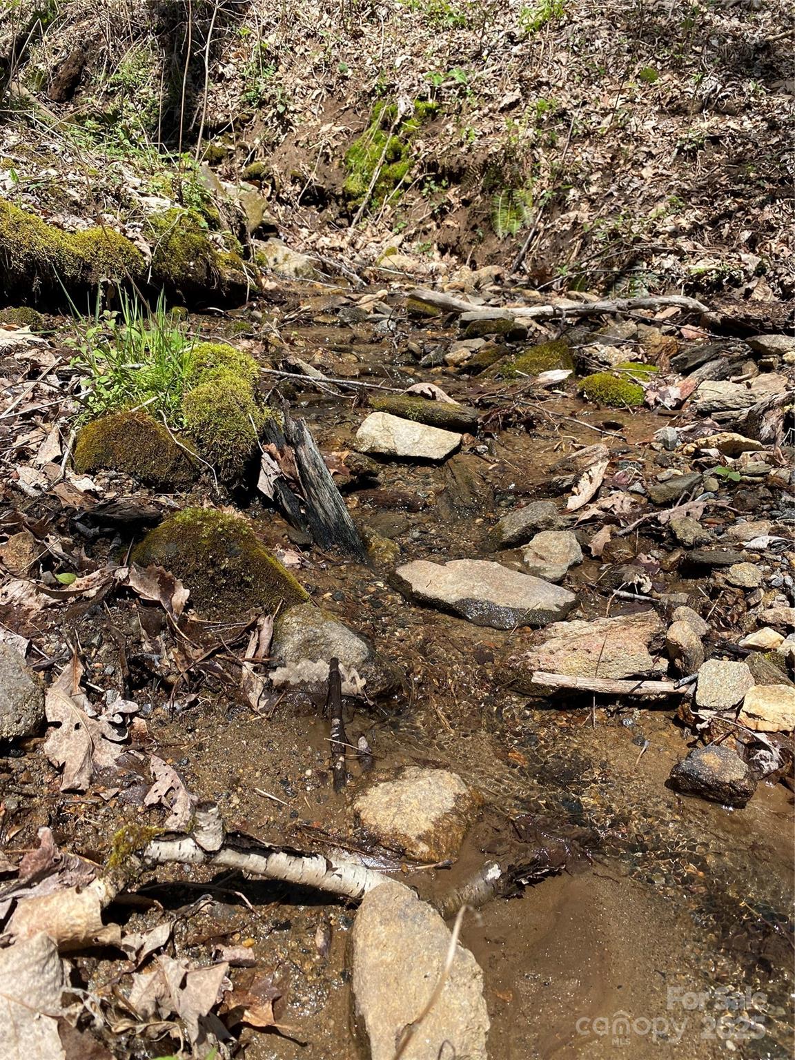 99999 Chestnut Forest Road, Unit 412 & #413 Fairview, NC 28730 - Photo 5 of 36