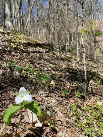 $39,000 | 99999 Chestnut Forest Road, Unit 412 & #413, Fairview, NC 28730