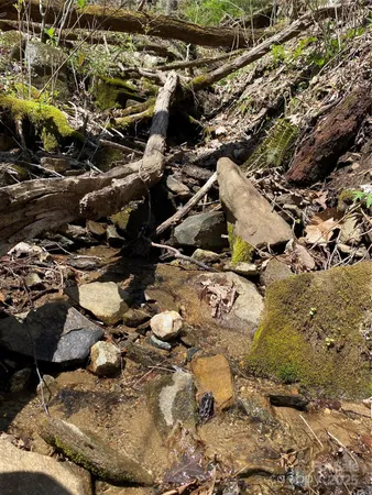 $39,000 | 99999 Chestnut Forest Road, Unit 412 & #413, Fairview, NC 28730