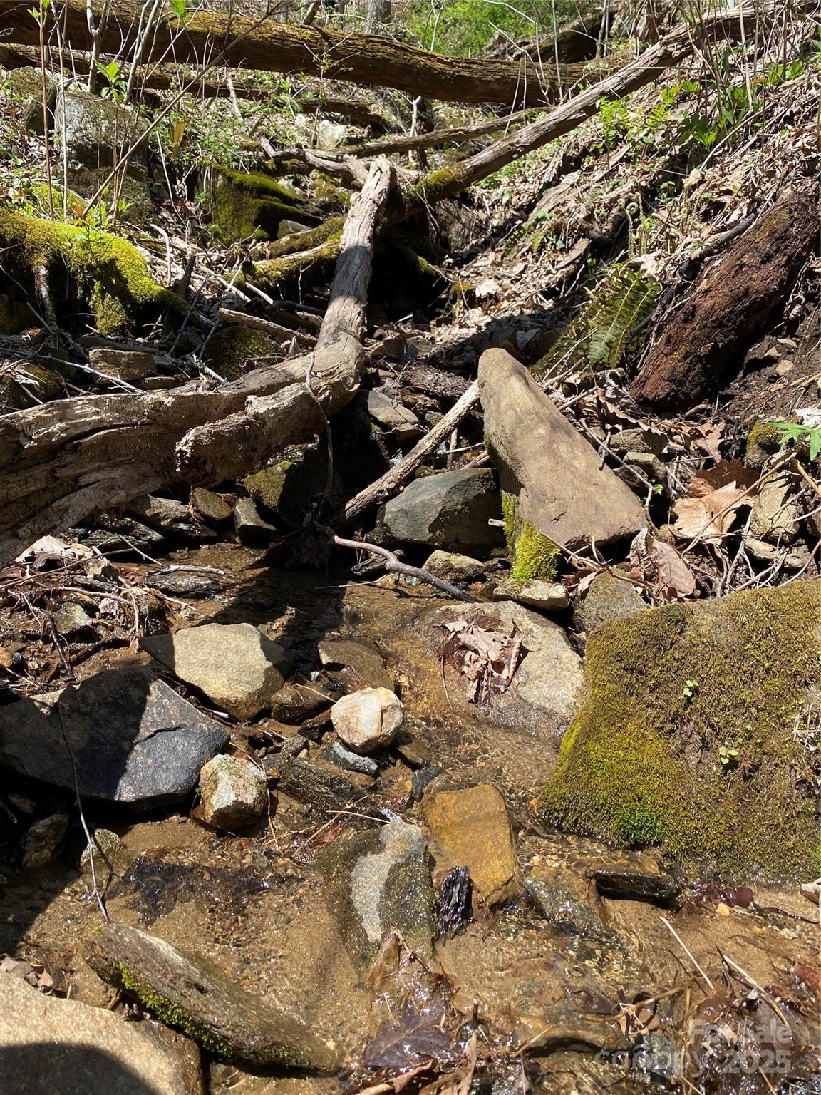 99999 Chestnut Forest Road, Unit 412 & #413 Fairview, NC 28730 - Photo 7 of 36