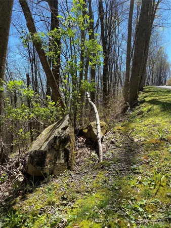 $39,000 | 99999 Chestnut Forest Road, Unit 412 & #413, Fairview, NC 28730