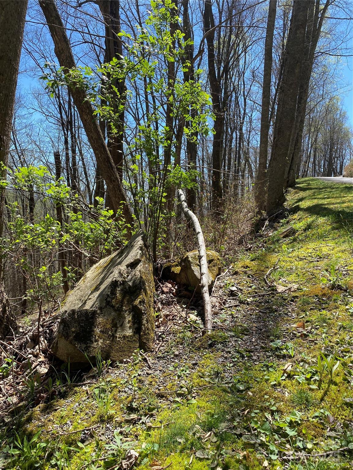 99999 Chestnut Forest Road, Unit 412 & #413 Fairview, NC 28730 - Photo 8 of 36