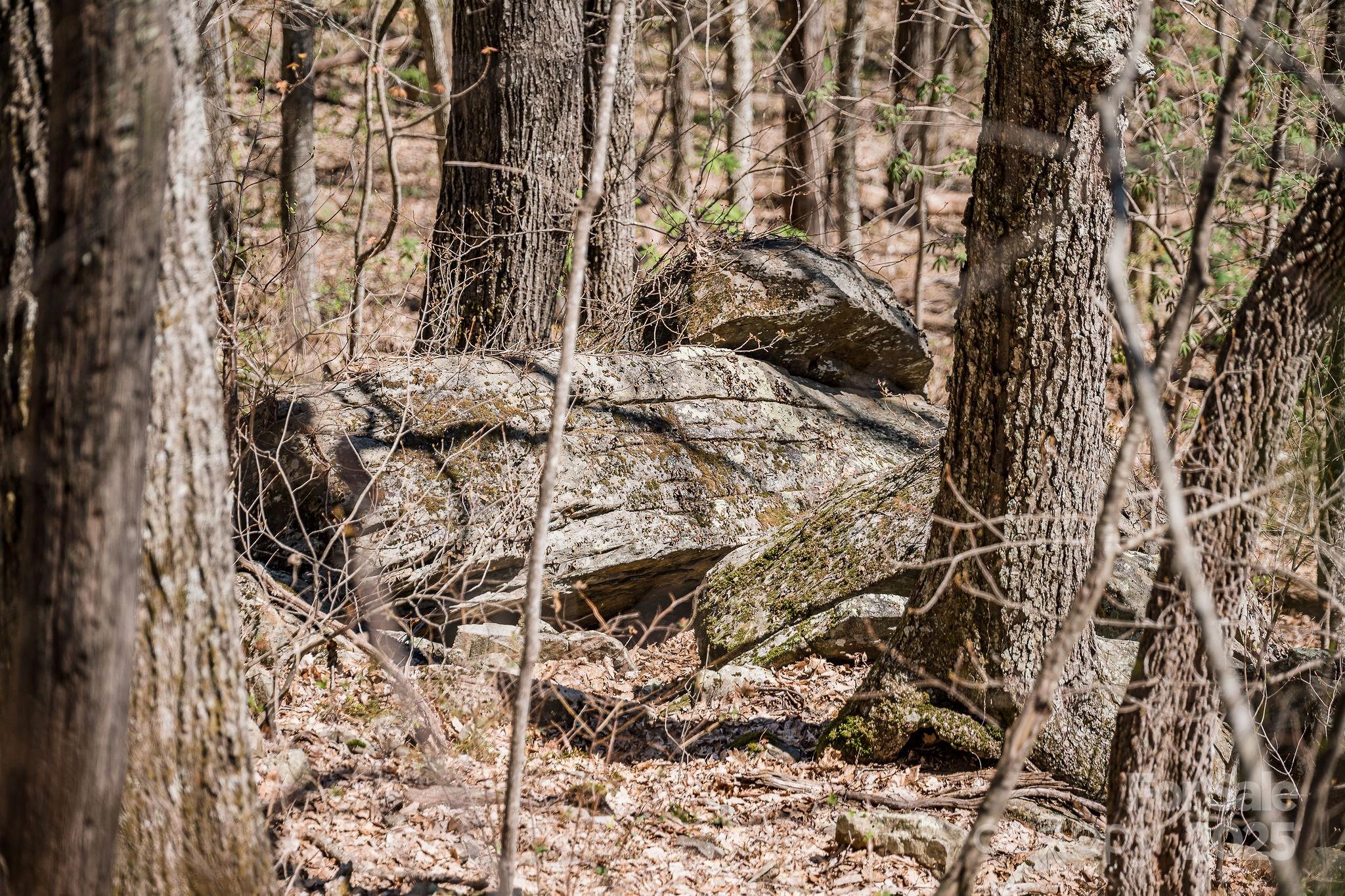 99999 Chestnut Forest Road, Unit 412 & #413 Fairview, NC 28730 - Photo 10 of 36
