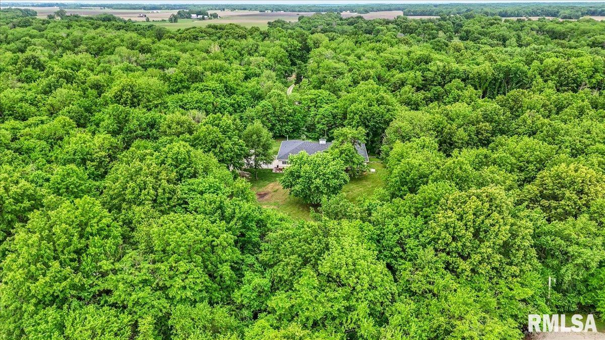 19094 Timber Line Lane Petersburg, IL 62675 - Photo 64 of 69