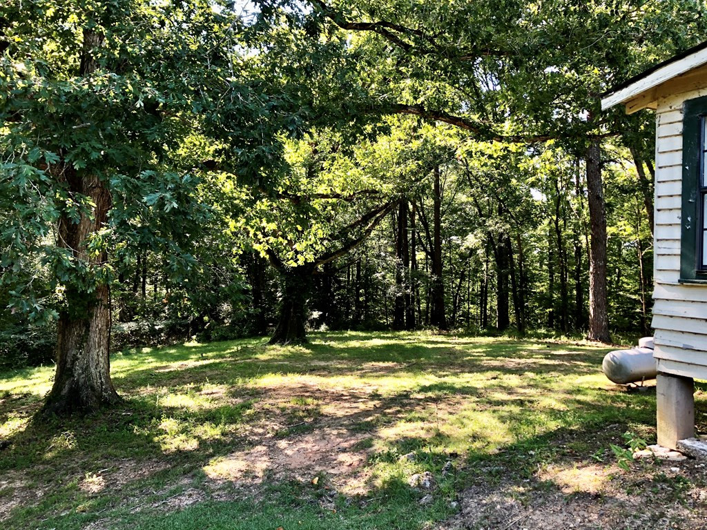 121 Union Church Road Meadville, MS 39653 - Photo 14 of 17 Photo 14