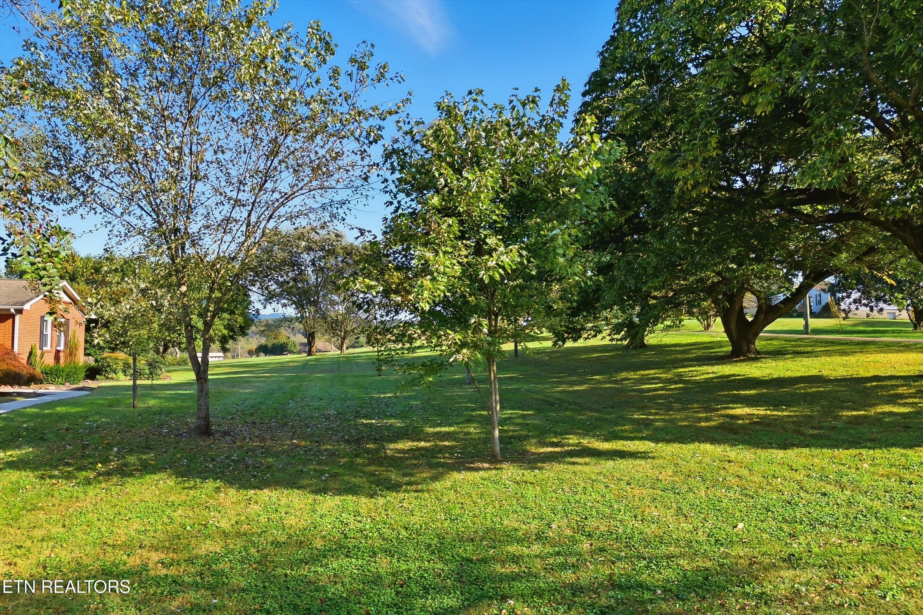 1021 Graves Road Strawberry Plains, TN 37871 - Photo 34 of 60 Yard