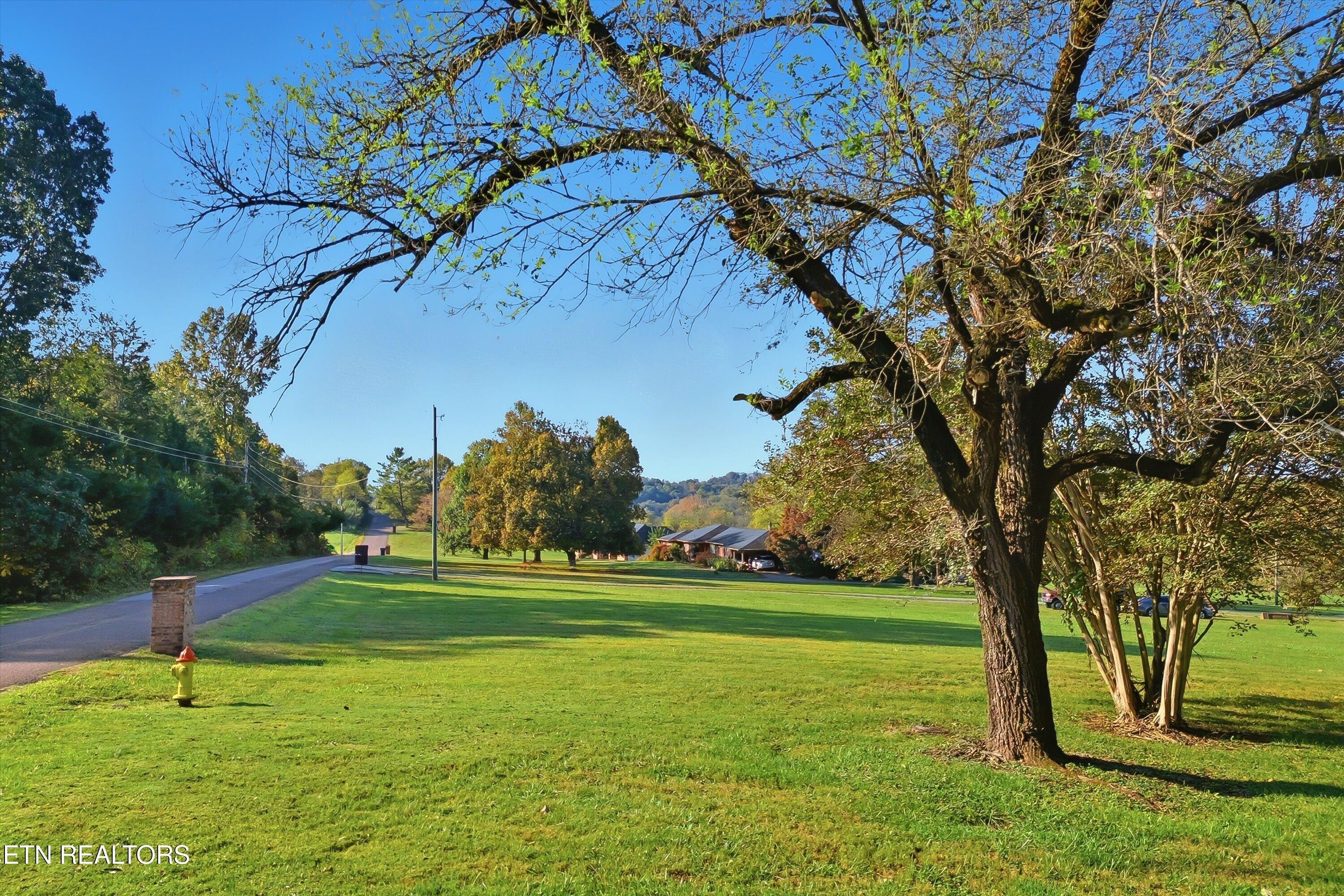 1021 Graves Road Strawberry Plains, TN 37871 - Photo 35 of 60 Yard