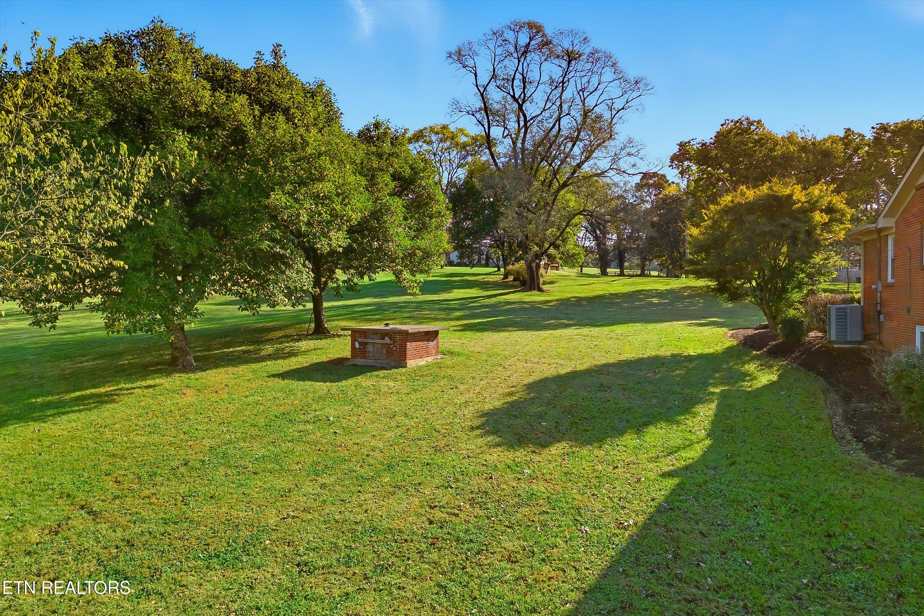1021 Graves Road Strawberry Plains, TN 37871 - Photo 41 of 60 Yard