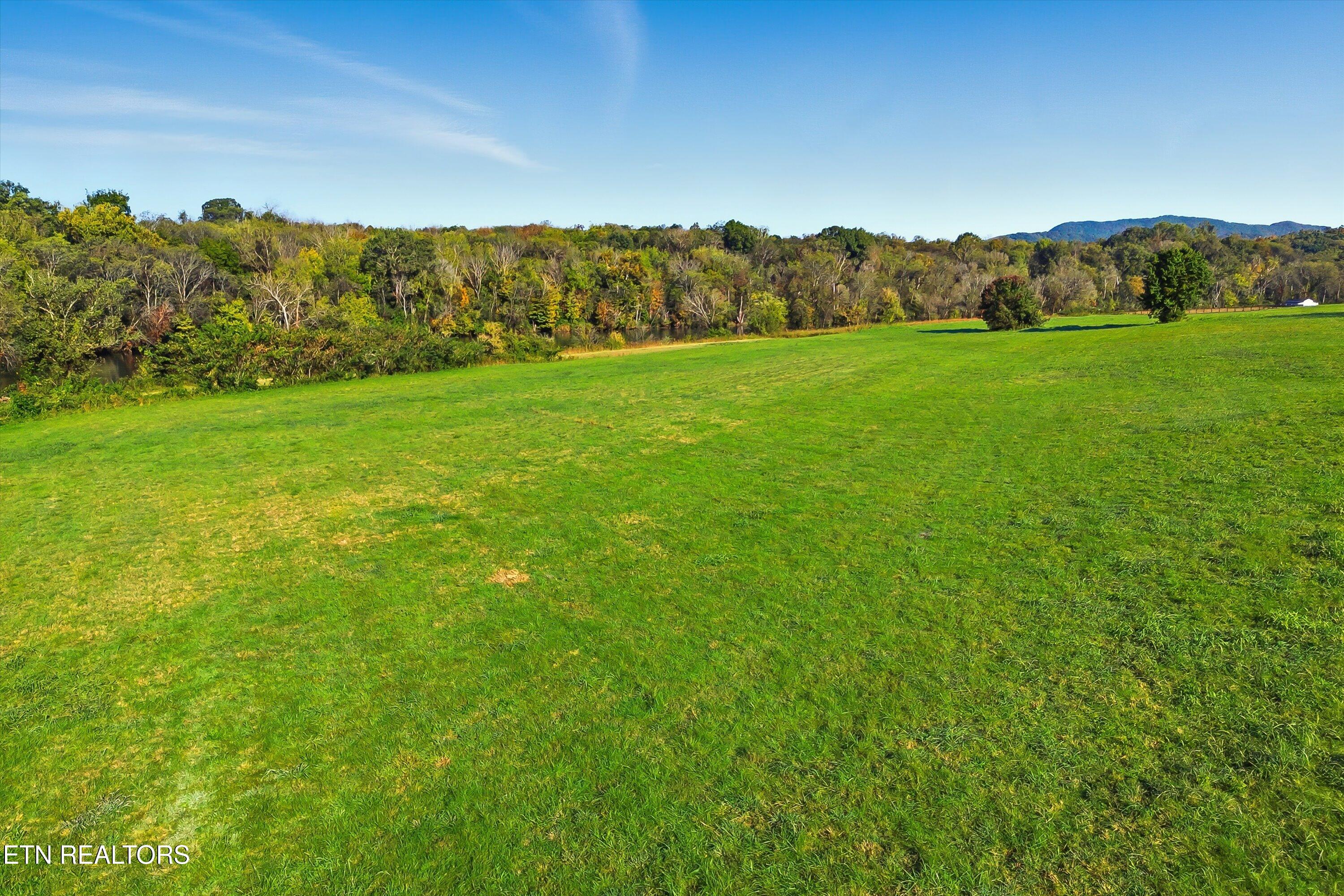 1021 Graves Road Strawberry Plains, TN 37871 - Photo 57 of 60 Acreage
