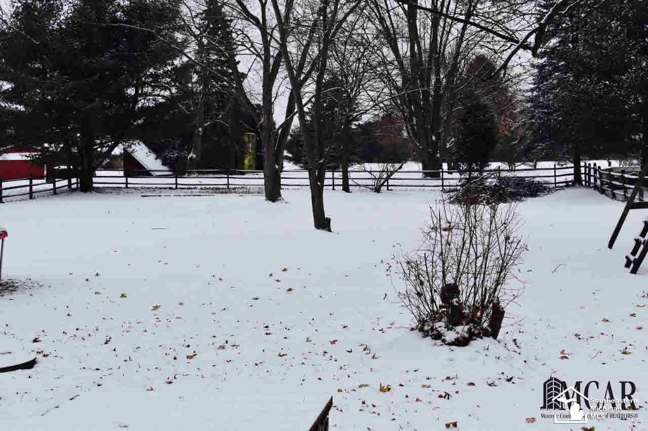 9919 Minx Road Temperance, MI 48182 - Photo 2 of 10 Large Back Yard