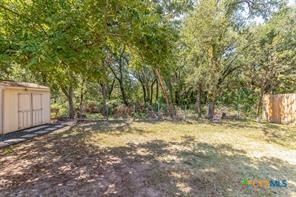 12011 Scribe Drive Austin, TX 78759 - Photo 13 of 14 a view of a yard with large trees