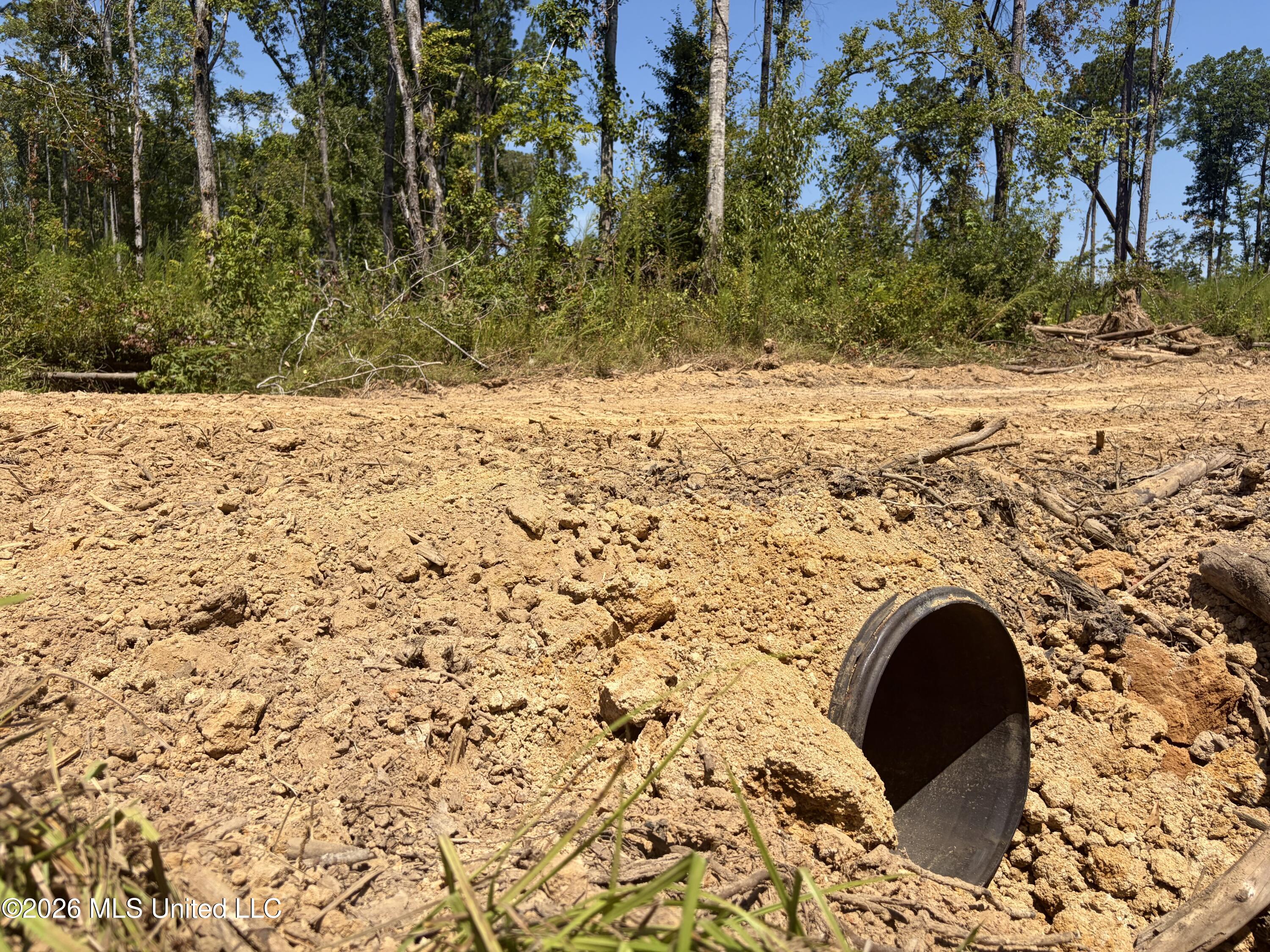 Terry Road Kosciusko, MS 39090 - Photo 15 of 17 IMG_1703