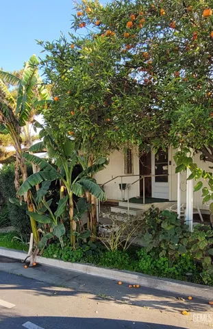 a front view of a house with a tree