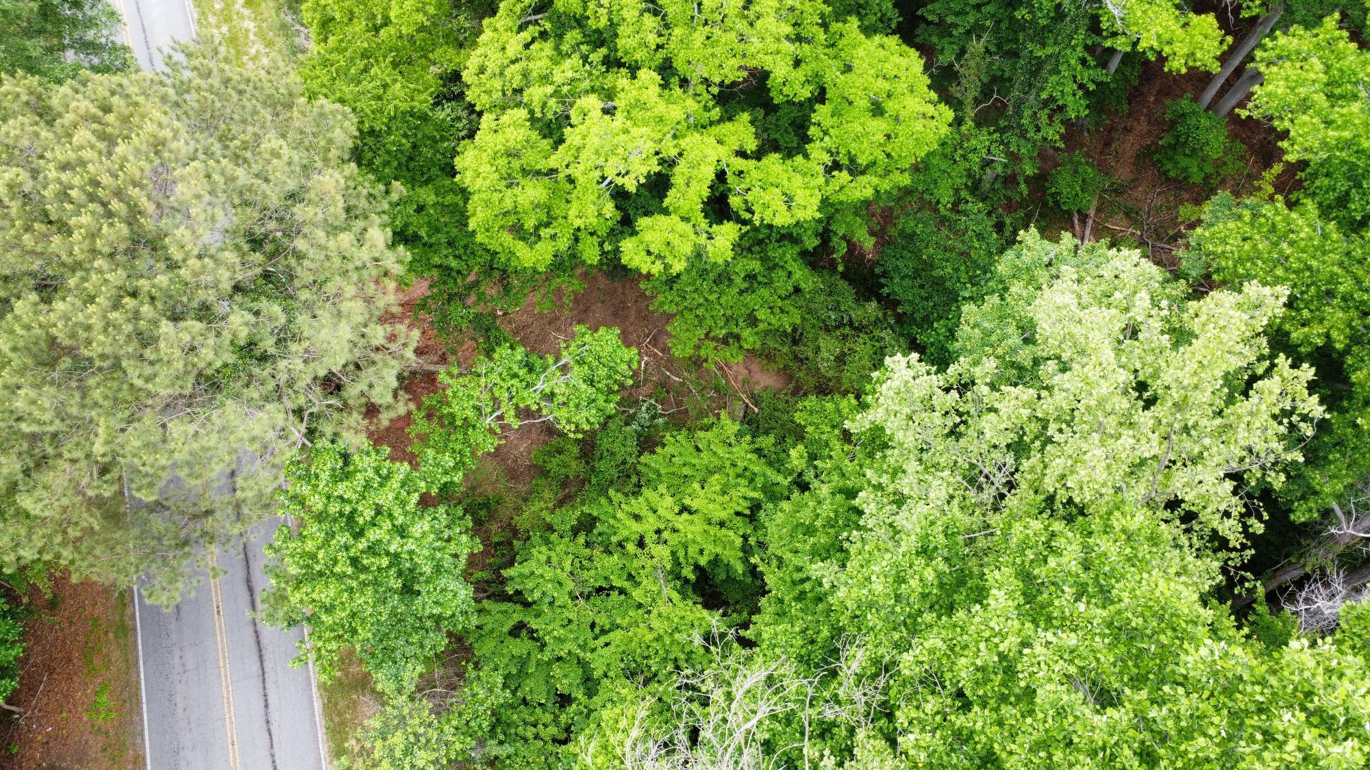 Pepper Street Central, SC 29630 - Photo 11 of 12