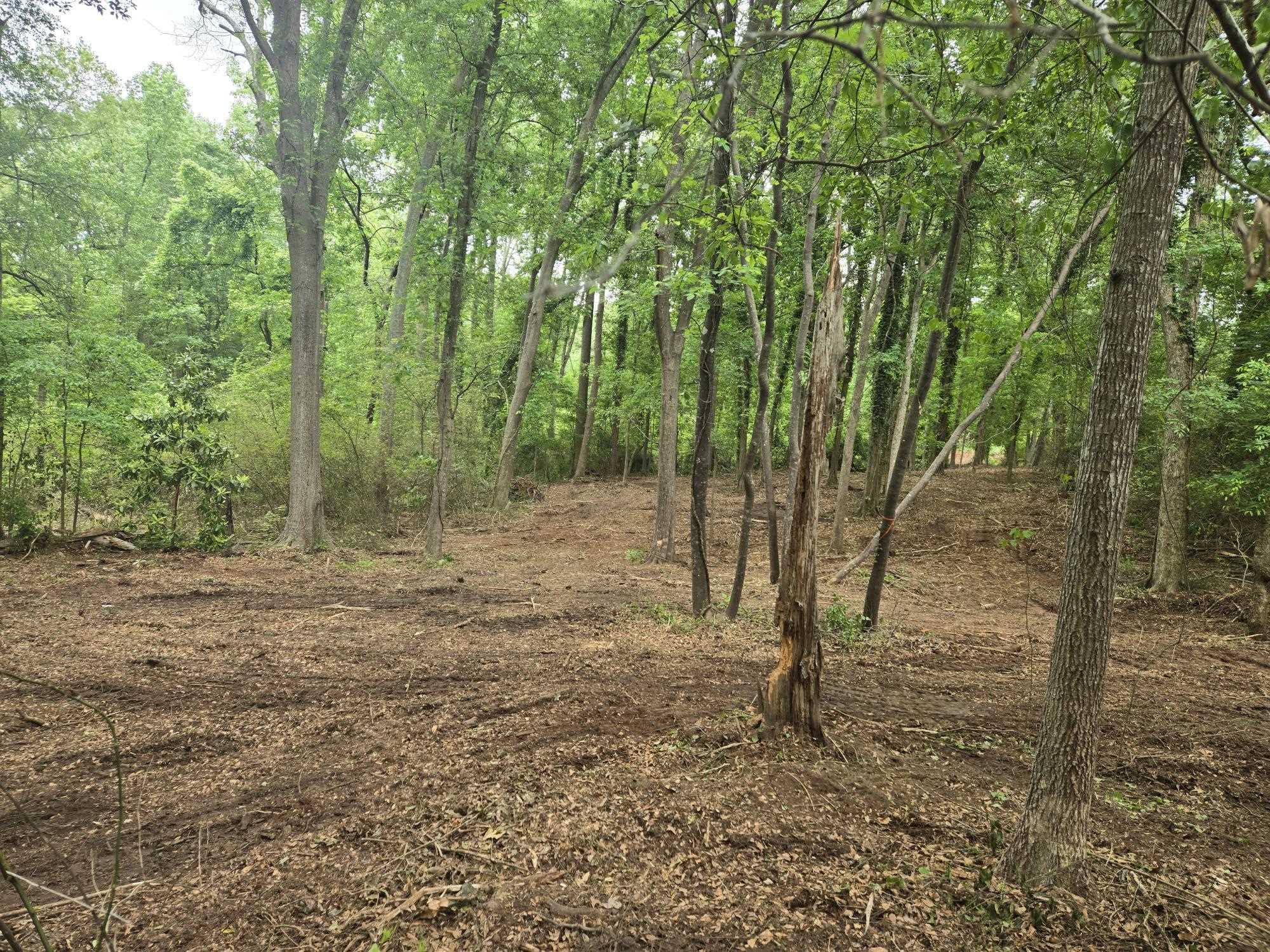 Pepper Street Central, SC 29630 - Photo 2 of 12