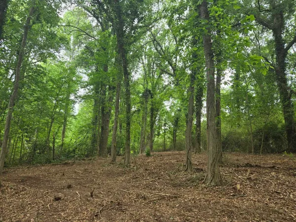 $55,000 | Pepper Street, Central, SC 29630